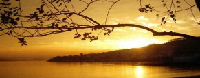 Crepúsculo y Amanecer