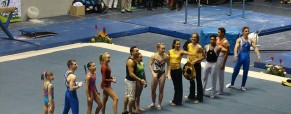 Gala de Gimnasia en León