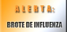 La Influenza… y los amarillistas