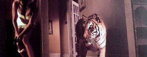 Burning Bright: El Tigre, La Belleza y el Suspenso
