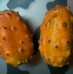 El Kiwano