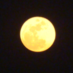 luna5