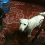 IMG_0015 IMG_0015