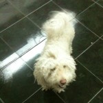 IMG_0026 IMG_0026
