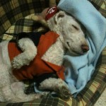 IMG_0058 IMG_0058