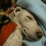 IMG_0059 IMG_0059