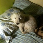 IMG_0091 IMG_0091