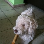 IMG_0125 IMG_0125