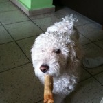 IMG_0126 IMG_0126